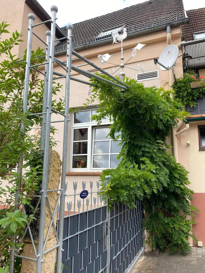 Pension - Gaestehaus Zum Pfaelzerwald Hinterweidenthal Exteriör bild