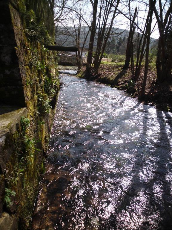 Pension - Gaestehaus Zum Pfaelzerwald Hinterweidenthal Exteriör bild